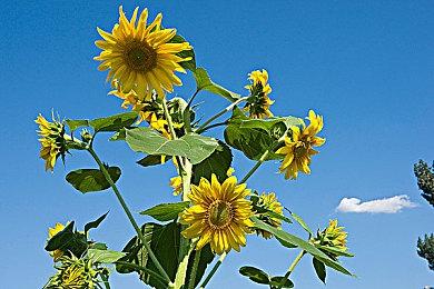 曝《死亡搁浅2》6月销量超140万份！