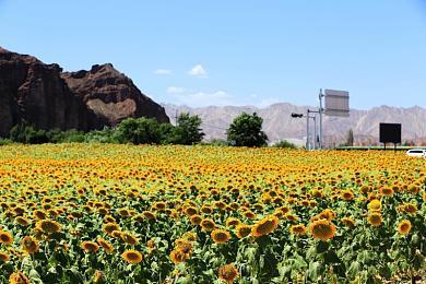 《刺客信条：幻景》PC优化堪忧 4090 4K画面最低只有8帧